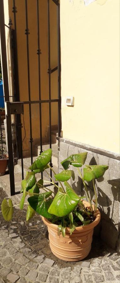 Boscotrecase Pompei Vesevus Apartament מראה חיצוני תמונה